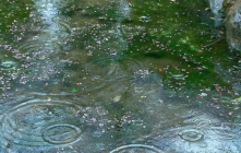 Du mercredi 4 au jeudi 5 mars 2026 : Un épisode pluvio-orageux