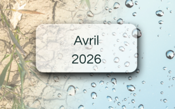 Bulletins de suivi pluviométrique - Avril 2026