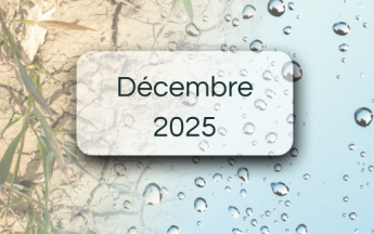 Bulletin de suivi pluviométrique - Décembre 2025