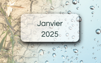 Bulletin de suivi pluviométrique - Janvier 2026