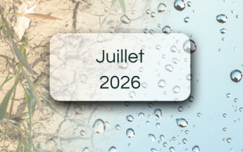 Bulletins de suivi pluviométrique - Juillet 2026 