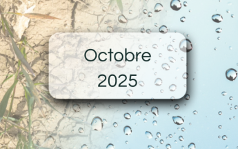 Bulletin de suivi pluviométrique - Octobre 2025