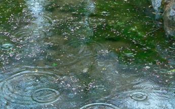 Du mercredi 4 au jeudi 5 mars 2026 : Un épisode pluvio-orageux