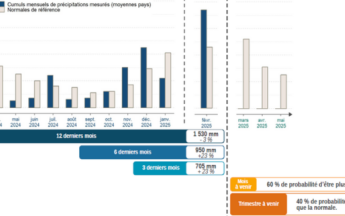 Le Bulletin de Suivi Pluviométrique : la nouvelle publication dédiée au suivi des précipitations