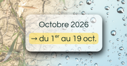 Bulletin de suivi pluviométrique intermédiaire - du 1er au 19 octobre 2026