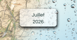 Bulletins de suivi pluviométrique - Juillet 2026 