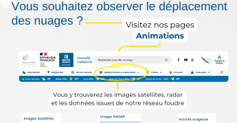 Les pages Animations