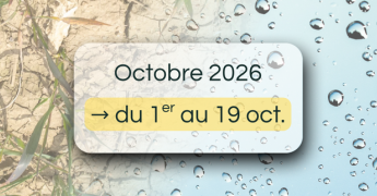 Bulletin de suivi pluviométrique intermédiaire - du 1er au 19 octobre 2026