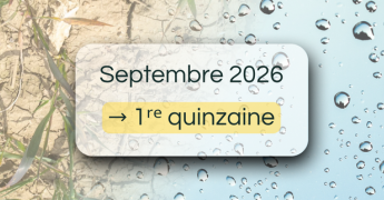 Bulletin de suivi pluviométrique - 1re quinzaine de septembre 2026