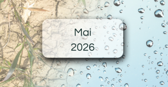 Bulletins de suivi pluviométrique - Mai 2026