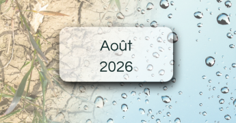 Bulletin de suivi pluviométrique - Août 2026 