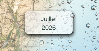 Bulletins de suivi pluviométrique - Juillet 2026 