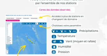 Les pages Observations
