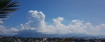 Les zones du bulletin de prévision