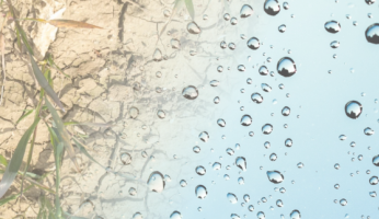 Bulletins de Suivi Pluviométrique