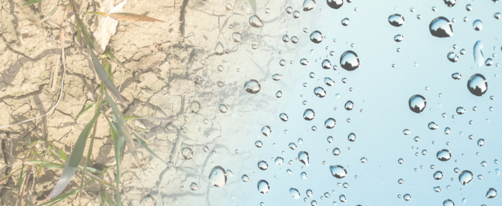 Bulletins mensuels de suivi pluviométrique