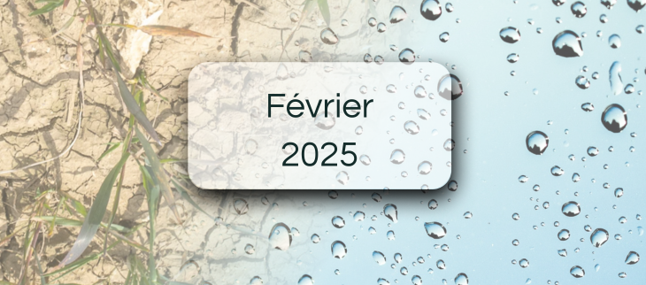 Bulletins de suivi pluviométrique - Février 2026