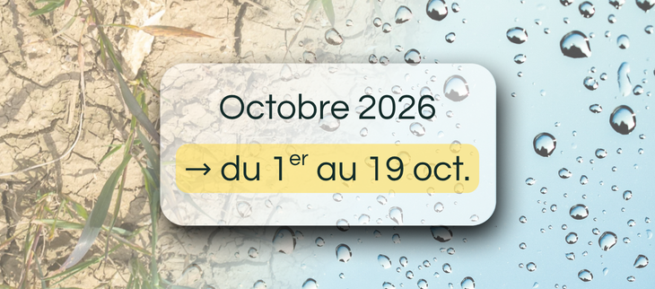 Bulletin de suivi pluviométrique intermédiaire - du 1er au 19 octobre 2026