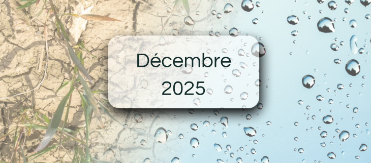 Bulletin de suivi pluviométrique - Décembre 2025