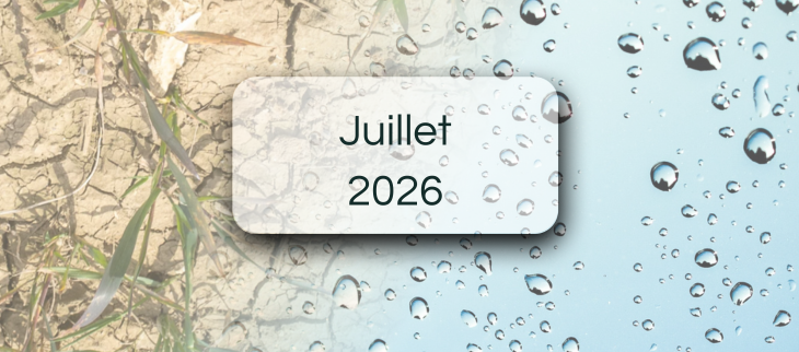 Bulletins de suivi pluviométrique - Juillet 2026 