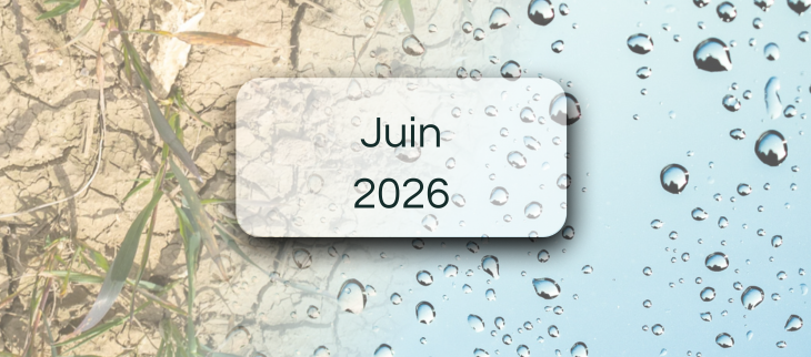 Bulletins de suivi pluviométrique - Juin 2026