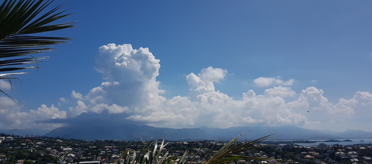 Les zones du bulletin de prévision