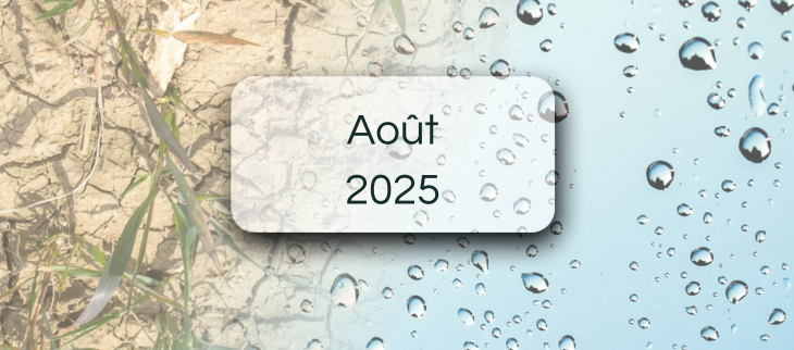 Bulletin de suivi pluviométrique - Août 2025