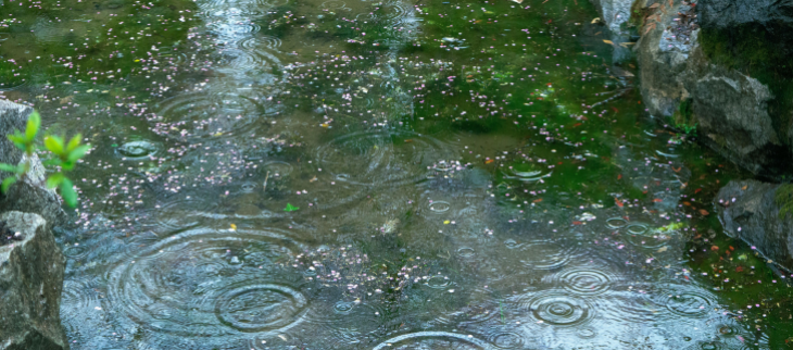 Du mercredi 4 au jeudi 5 mars 2026 : Un épisode pluvio-orageux