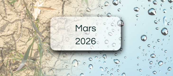 Bulletins de suivi pluviométrique - Mars 2026 