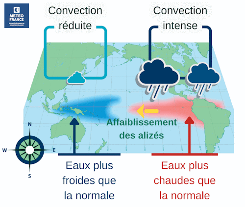 Circulations atmosphériques et conditions océaniques de surface en phase El Niño